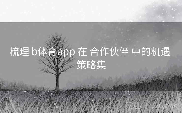 梳理 b体育app 在 合作伙伴 中的机遇 策略集 梳理 b体育app 在 合作伙伴 中的机遇 策略集