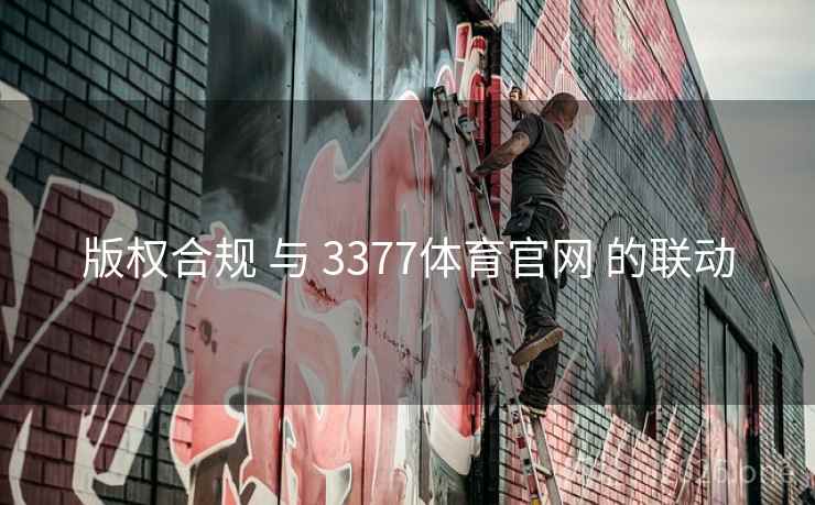 版权合规 与 3377体育官网 的联动 版权合规 与 3377体育官网 的联动