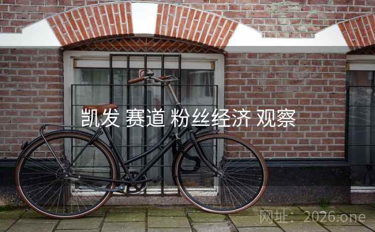 凯发 赛道 粉丝经济 观察 凯发 赛道 粉丝经济 观察