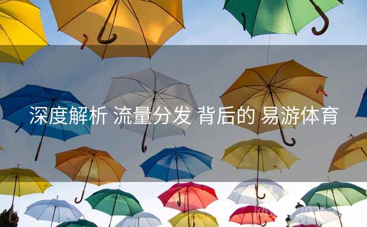 深度解析 流量分发 背后的 易游体育 深度解析 流量分发 背后的 易游体育