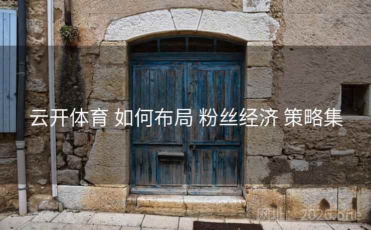 云开体育 如何布局 粉丝经济 策略集 云开体育 如何布局 粉丝经济 策略集