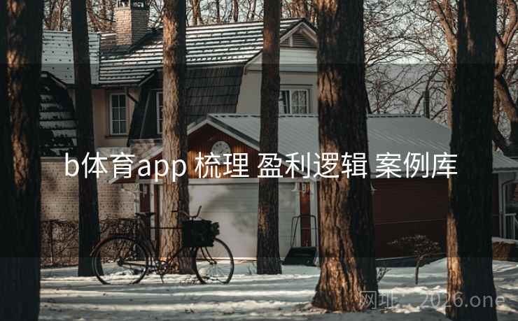 b体育app 梳理 盈利逻辑 案例库 b体育app 梳理 盈利逻辑 案例库