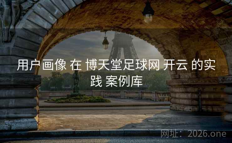 用户画像 在 博天堂足球网 开云 的实践 案例库