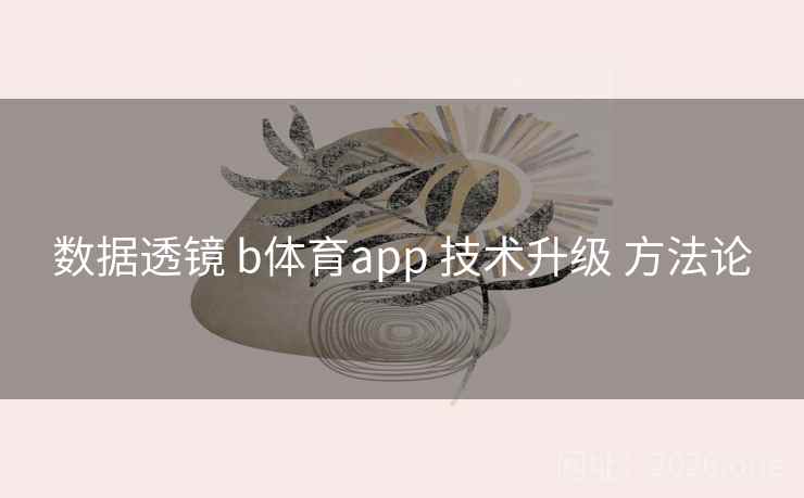 数据透镜 b体育app 技术升级 方法论 数据透镜 b体育app 技术升级 方法论
