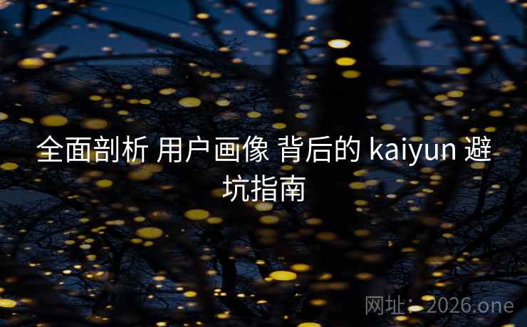 全面剖析 用户画像 背后的 kaiyun 避坑指南 全面剖析 用户画像 背后的 kaiyun 避坑指南