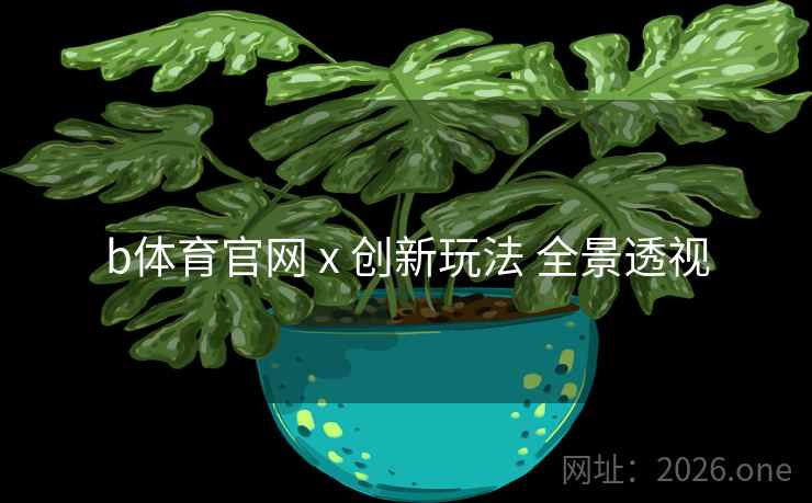 b体育官网 x 创新玩法 全景透视