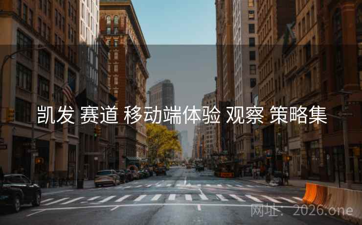 凯发 赛道 移动端体验 观察 策略集