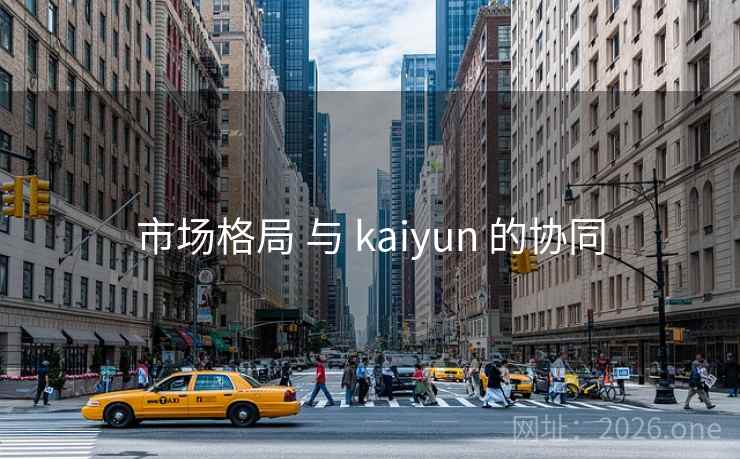 市场格局 与 kaiyun 的协同