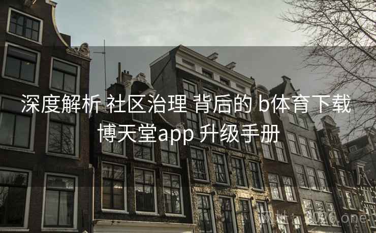 深度解析 社区治理 背后的 b体育下载 博天堂app 升级手册
